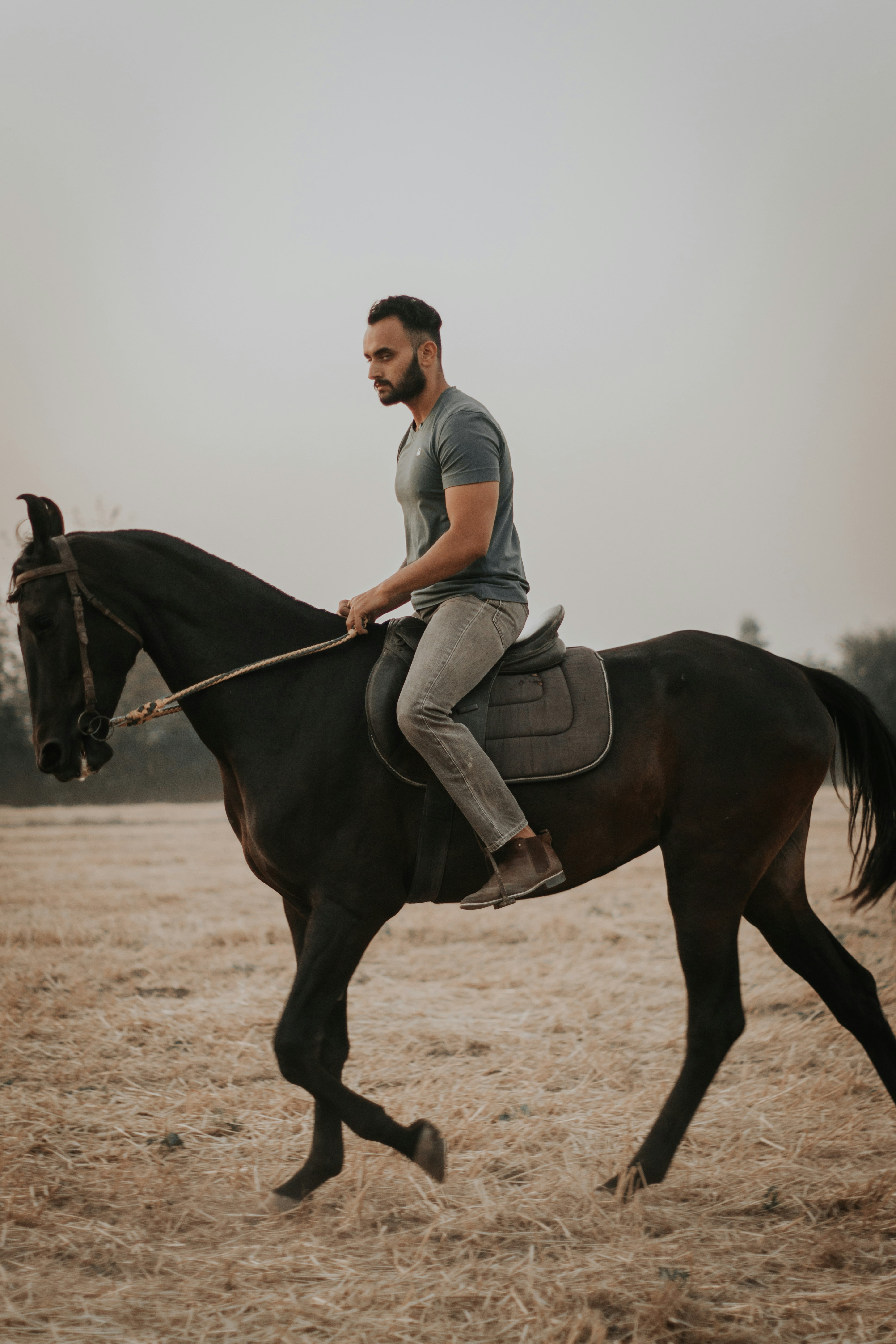 man in white t-shirt riding black horse during daytime